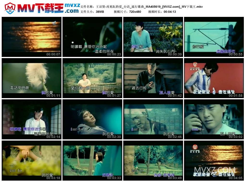 王识贤-再见阮的爱_台语_流行歌曲_MA405619